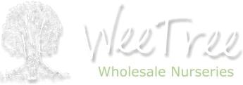 WeeTree Wholesale Nurseries logo