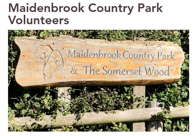 MCP sign