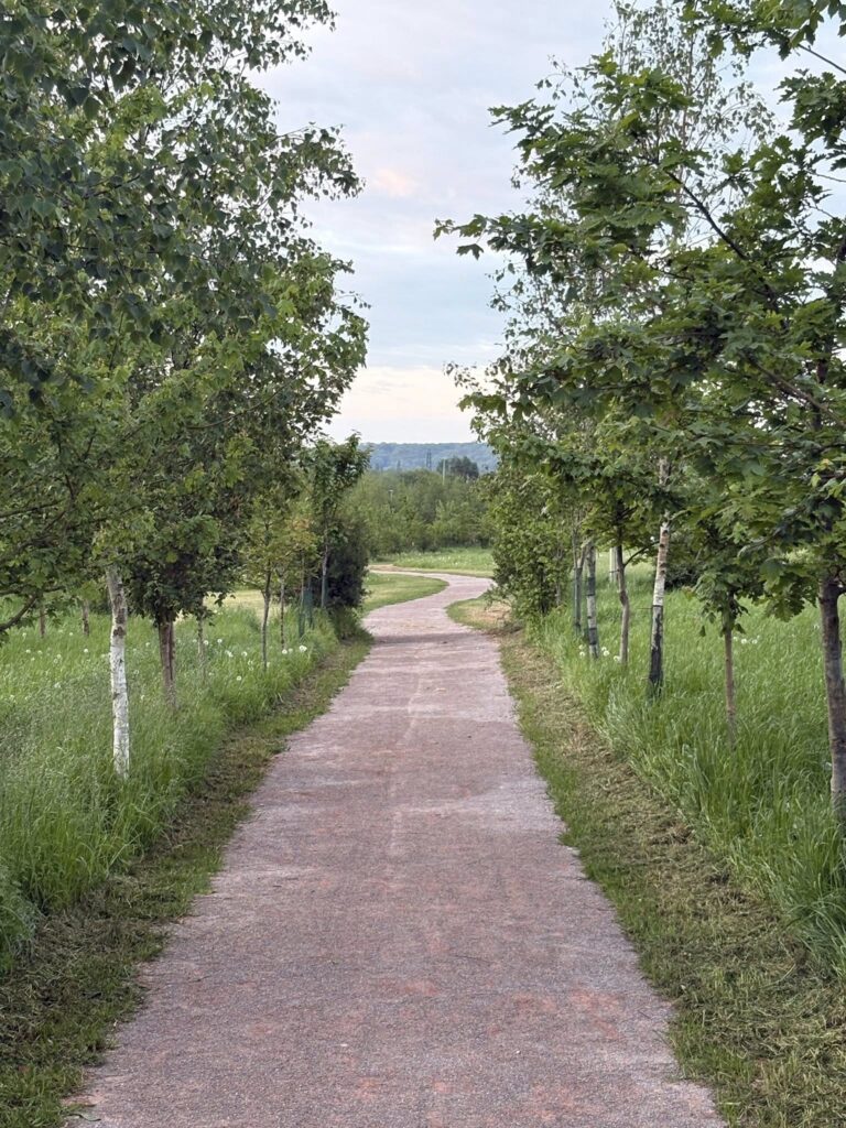 Memorial Wood Pathway